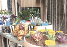 Ȫ���մɘI(y��)��ռ�����������Ј�(ch��ng) �W(w��ng)�۶��⻨��딵(sh��)Ȫ����