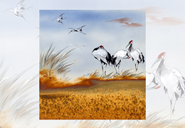 ���_�������g�^�����e�k�������մ�ˇ�gչ