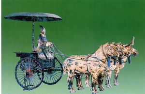 �����ش����Rٸ