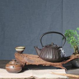 �ɺ����F�ء�Ⱥ�ͱ�Ħ�졷������8